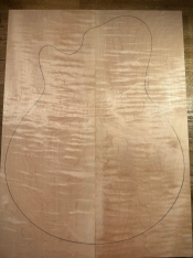 Arcus Archtop -  Suiboku